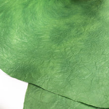 画像をギャラリービューアに読み込む, もみ染紙 B-92
