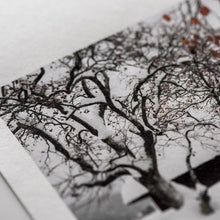 画像をギャラリービューアに読み込む, AIJP 楮 (厚口) 白 ロール（10m・15m）
