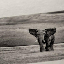 画像をギャラリービューアに読み込む, IJ-3221　びざん 生成 (中厚口) 手漉き紙 A1サイズ
