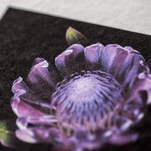 画像をギャラリービューアに読み込む, IJ-3332　びざん 純白 (厚口) 手漉き紙 A2サイズ
