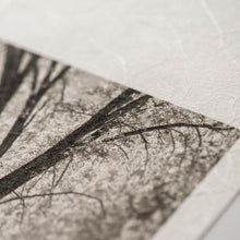 画像をギャラリービューアに読み込む, IJ-6424　プレミオ 雲流 A4サイズ
