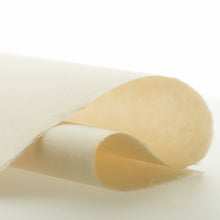 画像をギャラリービューアに読み込む, 北方ロール 970mm×10m
