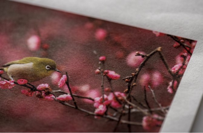 AIJP（アワガミインクジェットペーパー）