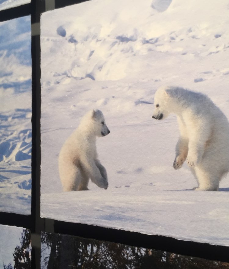 額装プリントサービス