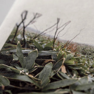 三椏-白-二層紙