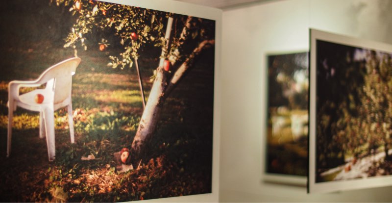 楮（厚口）生成　川野恭子 様