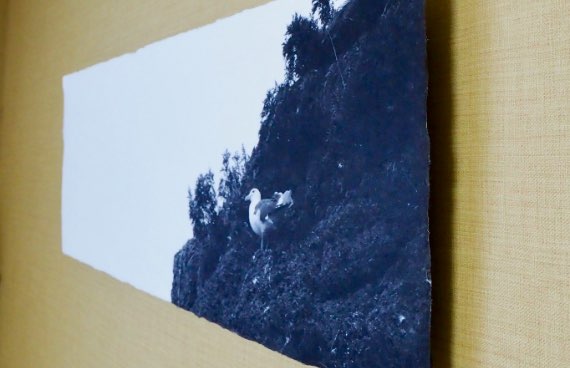 額装の種類が豊富