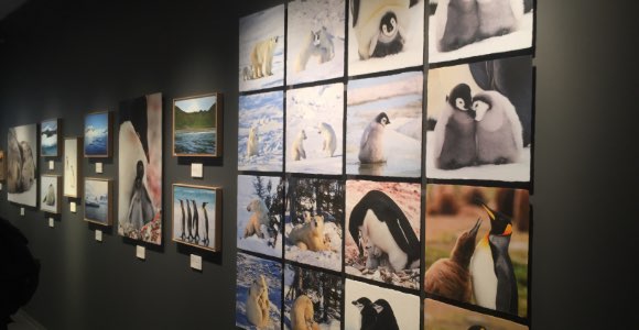 びざん、竹和紙170g/m2　香川美穂 様