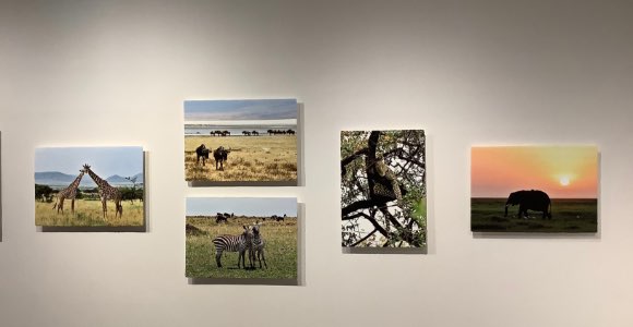 びざん　香川美穂 様