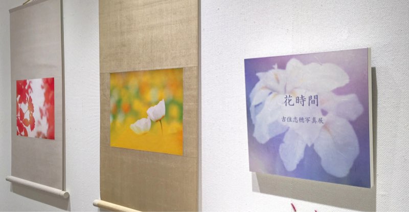 楮 二層紙　吉住志穂 様01