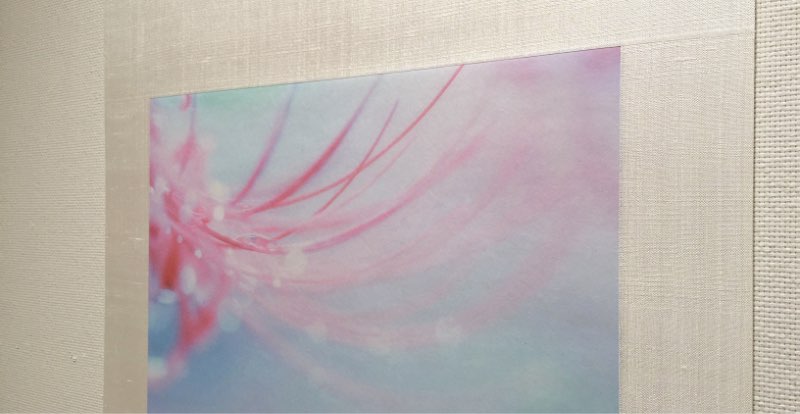 楮 二層紙　吉住志穂 様02